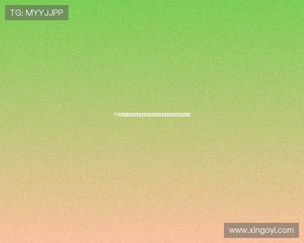 PA真人视讯助力世界杯现场互动体验全面升级引领体育娱乐新潮流